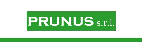 Formulario de Contacto